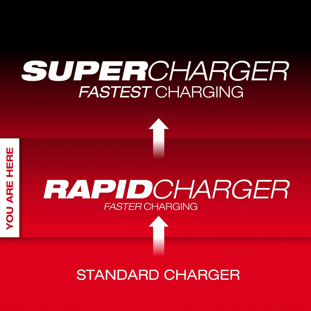 M18™ and M12™ Gangbox Rapid Charger