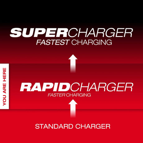 M18™ and M12™ Gangbox Rapid Charger
